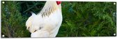 Tuinposter – Beige kip tegen Groene Varens - 120x40 cm Foto op Tuinposter (wanddecoratie voor buiten en binnen)