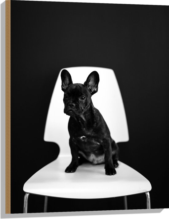 WallClassics - Hout - Zwarte zittende Hond op Witte Stoel - 60x80 cm - 9 mm dik - Foto op Hout (Met Ophangsysteem)