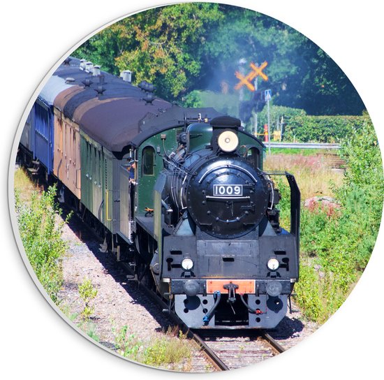 WallClassics - Plaque Mousse PVC Cercle Mural - Train entre Buissons - 20x20 cm Photo sur Cercle Mural (avec système d'accrochage)
