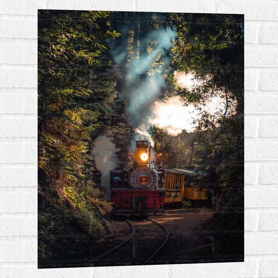 WallClassics - Muursticker - Stroomtrein omringd door Takken - 60x80 cm Foto op Muursticker