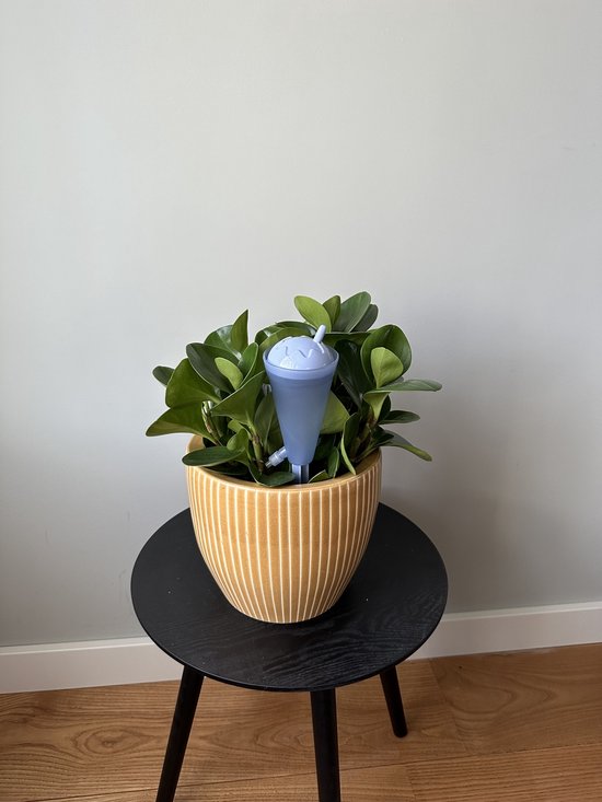 Plantenbewateringsapparaten, zelfbewaterende spikes, vakantieplanten besproeiingsdruppelaar, 8 stuks automatisch druppelsysteem irrigatie-apparatuur gereedschap, voor binnen en buiten, thuis en op