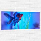 WallClassics - Muursticker - Zwemmende Vis in het Water - 100x50 cm Foto op Muursticker