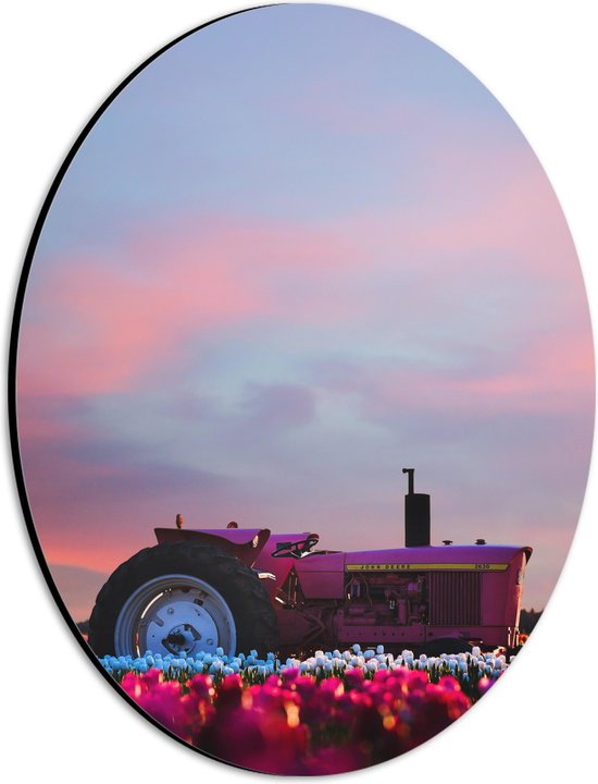 WallClassics - Dibond Ovaal - Roze Tractor in een Bloemenveld - 21x28 cm Foto op Ovaal (Met Ophangsysteem)