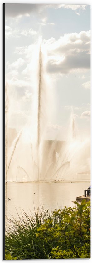 Dibond - Waterfontein in een Meer - 20x60 cm Foto op Aluminium (Wanddecoratie van metaal)