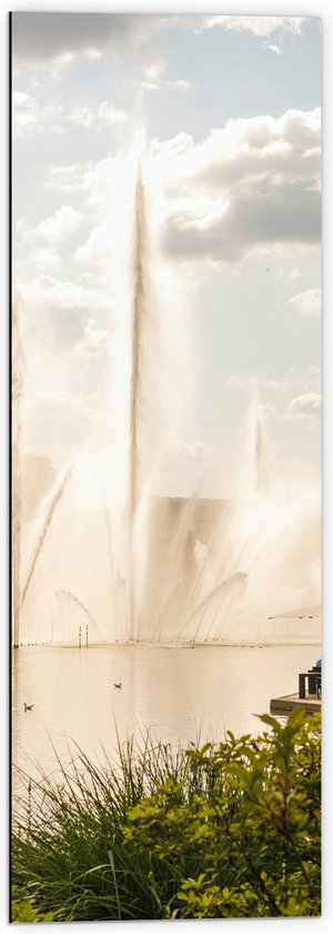 Dibond - Waterfontein in een Meer - 40x120 cm Foto op Aluminium (Met Ophangsysteem)