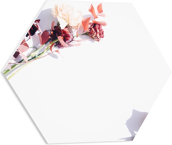 PVC Schuimplaat Hexagon - Kader van Tak met Roze Bloemen - 50x43.5 cm Foto op Hexagon (Met Ophangsysteem)