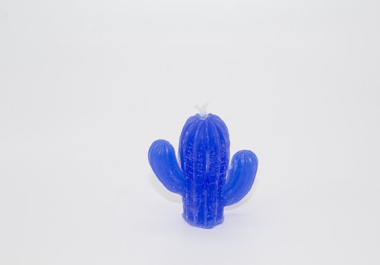 Kaars Cactus Blauw Oceaan geur
