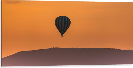 WallClassics - Dibond - Blauw met Witte Luchtballon boven Veld vol Bizons - 100x50 cm Foto op Aluminium (Met Ophangsysteem)