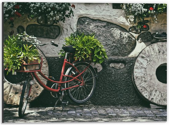 WallClassics - Dibond - Vélo rouge décoré de Plantes contre mur de pierre - Photo 40x30 cm sur aluminium (avec système d'accrochage)