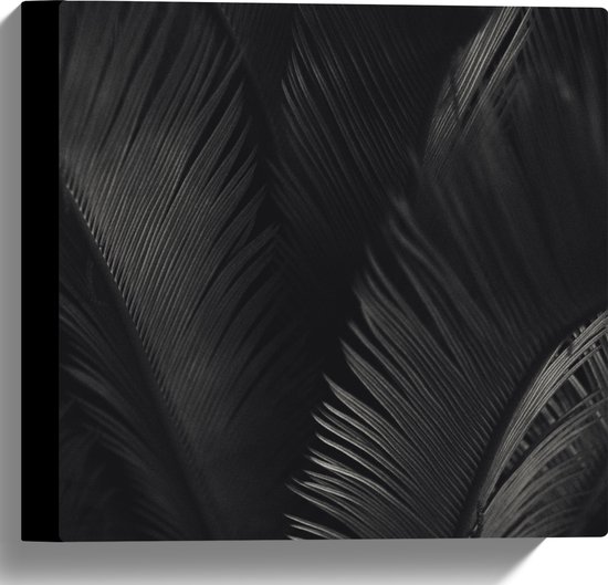 Canvas - Zwarte Veren - 30x30 cm Foto op Canvas Schilderij (Wanddecoratie op Canvas)