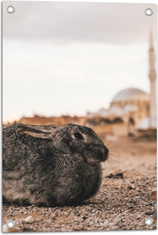 Tuinposter – Bruin Konijn met Omlaag Staande Oren - 40x60 cm Foto op Tuinposter (wanddecoratie voor buiten en binnen)