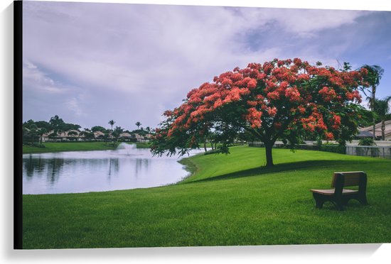 Canvas - Grote Boom met Rode Bloemen in Natuur Park - 90x60 cm Foto op Canvas Schilderij (Wanddecoratie op Canvas)