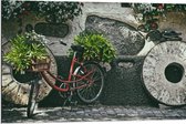 WallClassics - Dibond - Rode Fiets versierd met Planten tegen Stenen Muur - 90x60 cm Foto op Aluminium (Wanddecoratie van metaal)