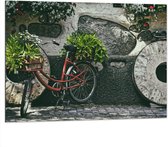 WallClassics - Dibond - Rode Fiets versierd met Planten tegen Stenen Muur - 100x75 cm Foto op Aluminium (Wanddecoratie van metaal)