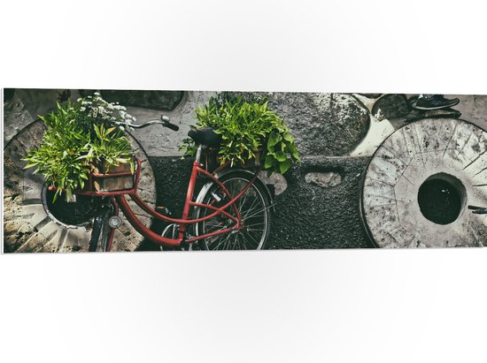 WallClassics - PVC Schuimplaat - Rode Fiets versierd met Planten tegen Stenen Muur - 120x40 cm Foto op PVC Schuimplaat (Met Ophangsysteem)