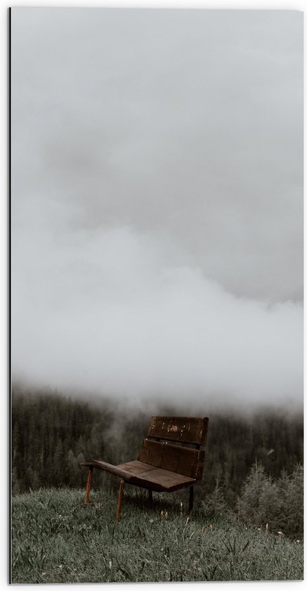 Dibond - Oud Houten Bankje in Mist op Berg met Uitzicht op Bos - 50x100 cm Foto op Aluminium (Wanddecoratie van metaal)