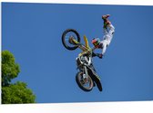 WallClassics - PVC Schuimplaat- Freestyle Motocross boven Boom - 105x70 cm Foto op PVC Schuimplaat