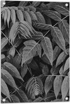 Tuinposter – Dichtgroeiende Planten (Zwart- wit) - 50x75 cm Foto op Tuinposter (wanddecoratie voor buiten en binnen)