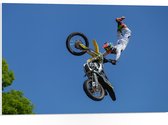 WallClassics - PVC Schuimplaat - Freestyle Motocross boven Boom - 75x50 cm Foto op PVC Schuimplaat (Met Ophangsysteem)
