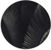 Dibond Muurcirkel - Zwarte Veren - 70x70 cm Foto op Aluminium Muurcirkel (met ophangsysteem)