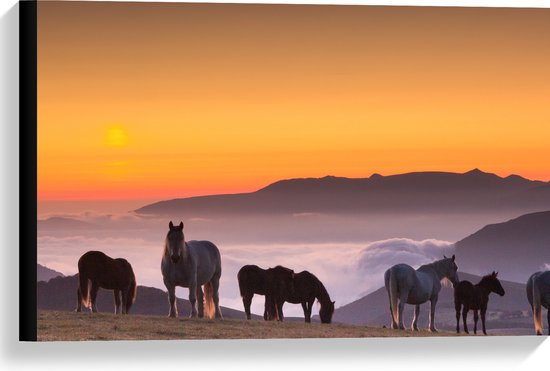 Canvas - Wilde Paarden bij de Zonsondergang - 60x40 cm Foto op Canvas Schilderij (Wanddecoratie op Canvas)