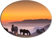 Dibond Ovaal - Wilde Paarden bij de Zonsondergang - 40x30 cm Foto op Ovaal (Met Ophangsysteem)