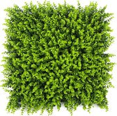 Spring Buxus | FOLY - 50 x 50 cm - Green wall voor decoratief binnen en buiten gebruik - Buxus kunsthaag - 5j UV garantie - JIVANA
