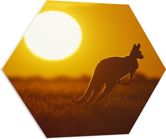 PVC Schuimplaat Hexagon - Zonsondergang Silhouet van een Kangoeroe - 80x69.6 cm Foto op Hexagon (Met Ophangsysteem)