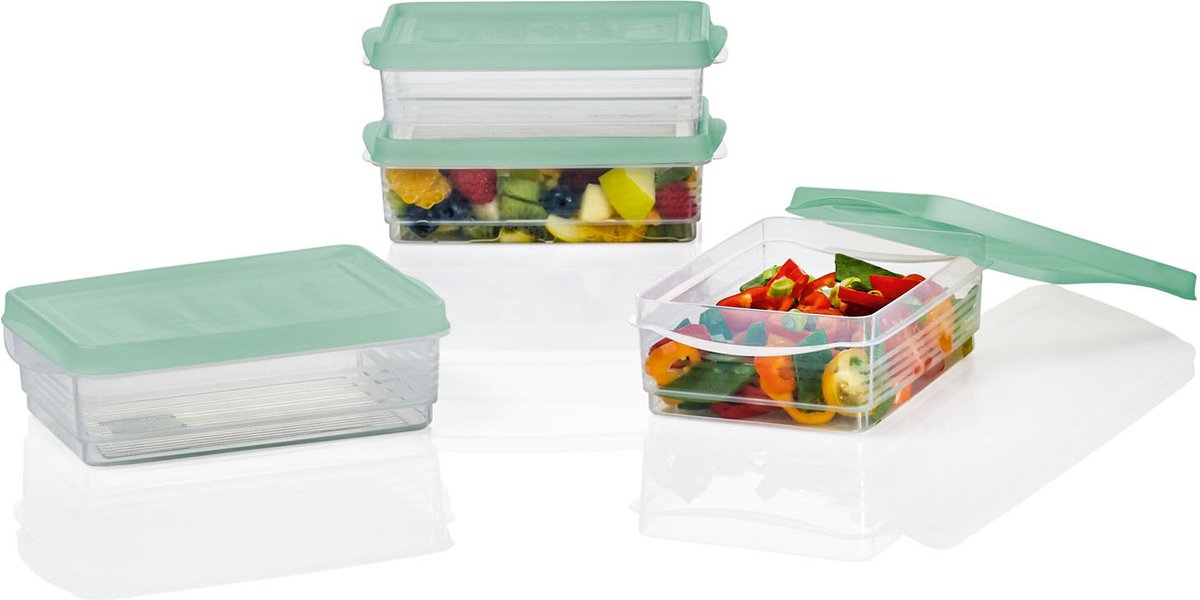 Vershouddoos Met Deksel 4 stuks - Vershoudbakjes - Magnetron Bakjes Met Deksel - Lunchbox - Bakjes - BPA vrij - Stapelbaar - Inhoud 600 ml