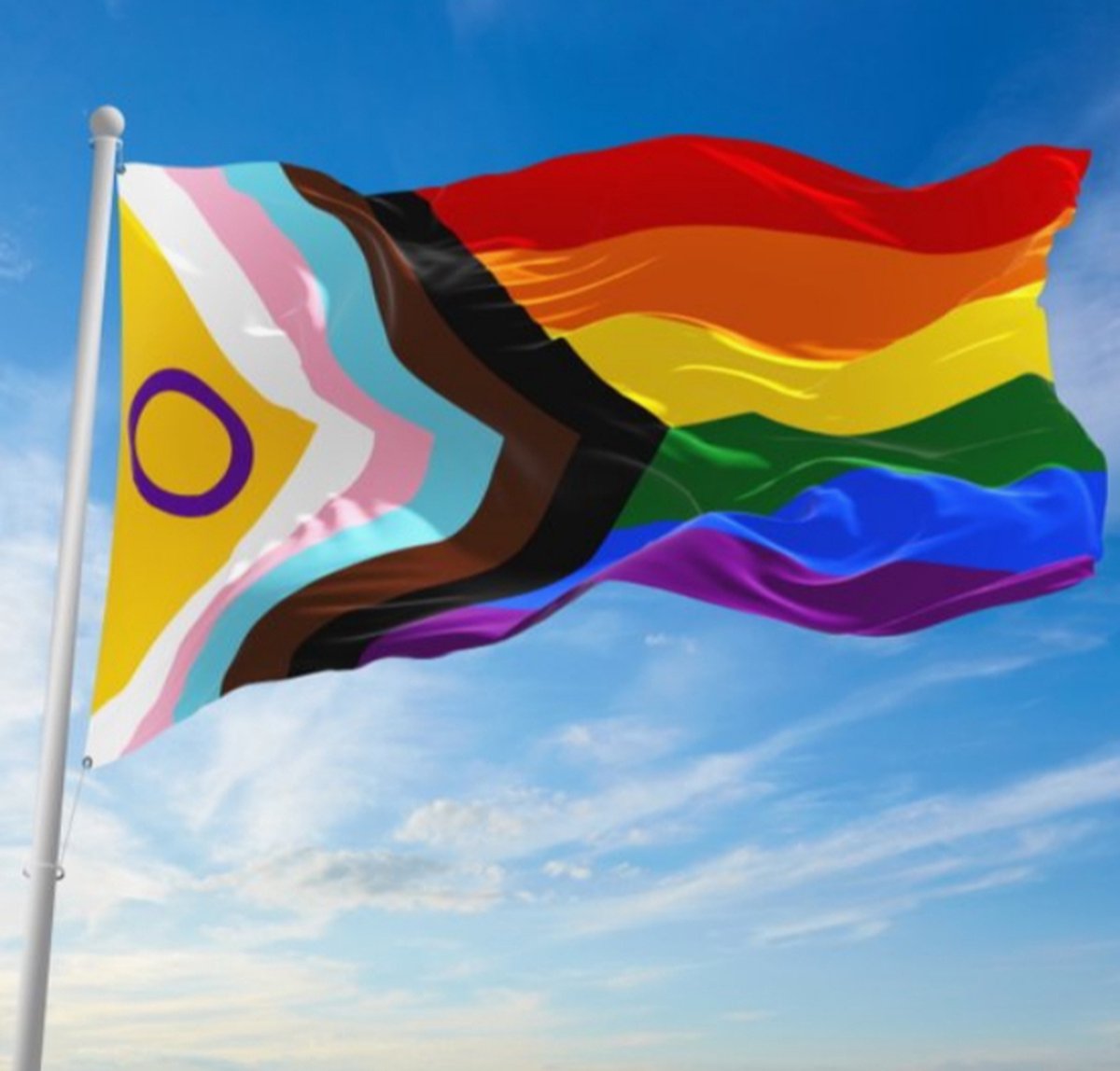 Groot Progress Pride Groot X Regenboog Lhbti Vlag