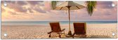 Tuinposter – Twee Ligbedden op het Strand met Palmboom - 60x20 cm Foto op Tuinposter (wanddecoratie voor buiten en binnen)