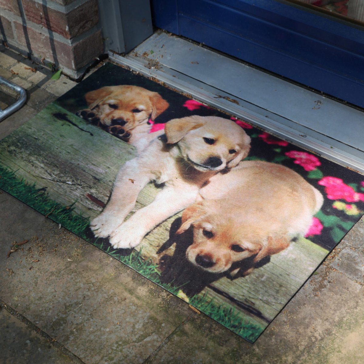 Deurmat puppy's Golden Retriever 75 cm x 45,4 cm - deurmat - mat - anti slip - voor binnen en buiten - geschenk - cadeau - gift - nieuwjaar - kerst - verjaardag