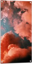 WallClassics - Tuinposter – Lucht Vol Wolken in het Roze - 50x100 cm Foto op Tuinposter (wanddecoratie voor buiten en binnen)