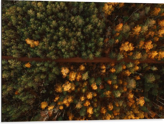 WallClassics - Dibond - Bovenaanzicht van Bos met Groene en Oranje Bomen - 80x60 cm Foto op Aluminium (Wanddecoratie van metaal)