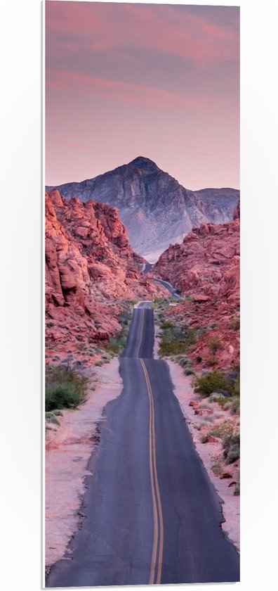 WallClassics - PVC Schuimplaat- Weg in Valley of Fire State Park in Nevada - 30x90 cm Foto op PVC Schuimplaat