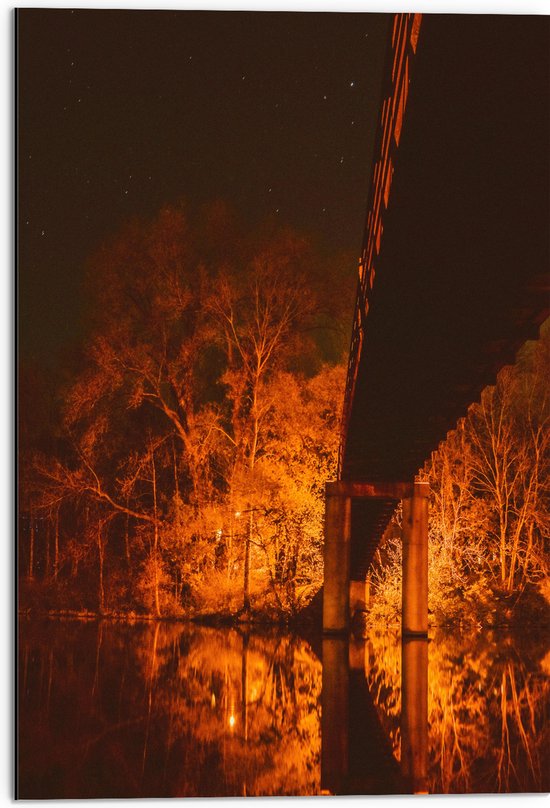 Dibond - Brug naar Oranje Bos - 50x75 cm Foto op Aluminium (Wanddecoratie van metaal)