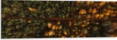 WallClassics - Dibond - Bovenaanzicht van Bos met Groene en Oranje Bomen - 120x40 cm Foto op Aluminium (Wanddecoratie van metaal)