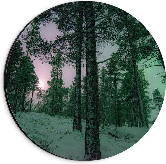 WallClassics - Dibond Muurcirkel - Het Noorderlicht door Bomen heen in Noorwegen - 20x20 cm Foto op Aluminium Muurcirkel (met ophangsysteem)