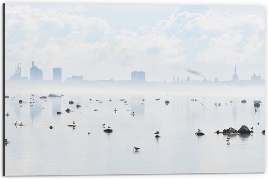 WallClassics - Dibond - Mist bij Skyline achter Meer met Vogels - 60x40 cm Foto op Aluminium (Wanddecoratie van metaal)