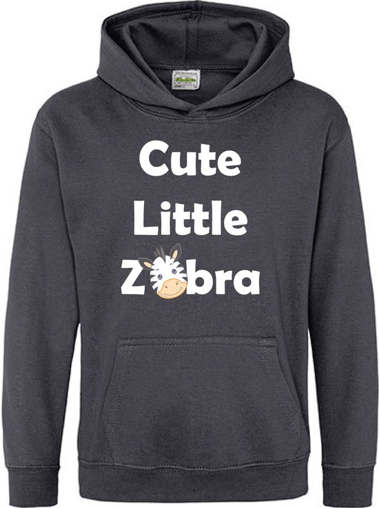 Pixeline Hoodie Cute Little Zebra grijs 5-6 jaar - Zebra - Pixeline - Trui - Stoer - Dier - Kinderkleding - Hoodie - Dierenprint - Animal - Kleding