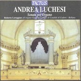 Roberto Loreggian Organ - Luchesi: Opere Per Organo (CD)