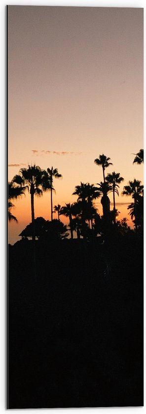 WallClassics - Dibond - Silhouet van Palmbomen op Heuvel - 30x90 cm Foto op Aluminium (Met Ophangsysteem)