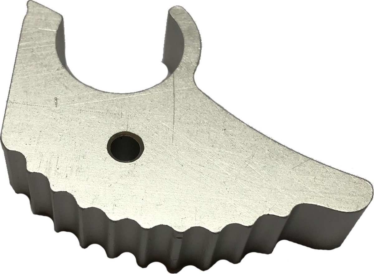 Rutgerson Cam for RC75S