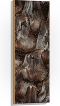 Hout - Schors van Palmboom - 30x90 cm - 9 mm dik - Foto op Hout (Met Ophangsysteem)