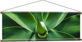 Textielposter - Groene Bladeren van een Plant - 120x40 cm Foto op Textiel