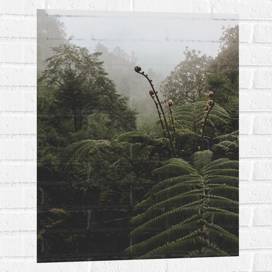 Muursticker - Groene Tropische Planten bij Mistige Lucht - 60x80 cm Foto op Muursticker