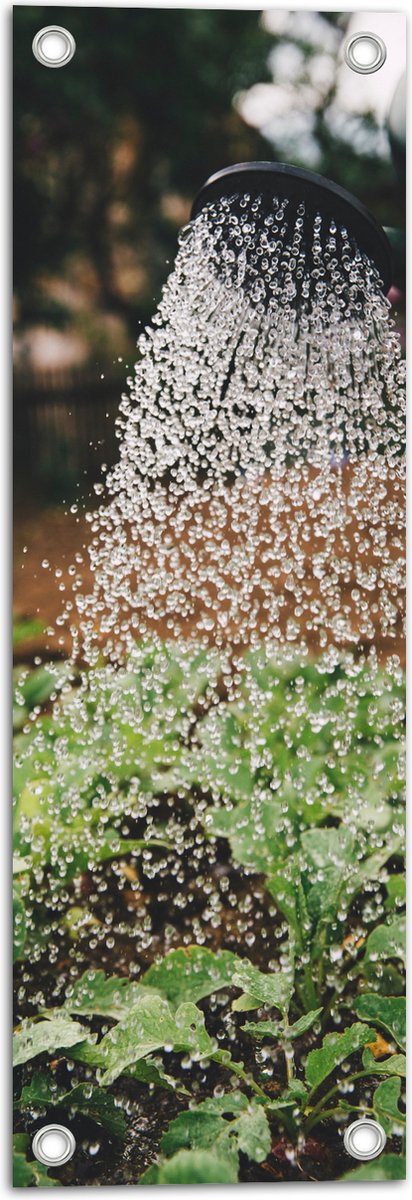 Tuinposter – Planten Water Geven met Gieter - 20x60 cm Foto op Tuinposter (wanddecoratie voor buiten en binnen)