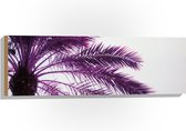 Hout - Palmboom met Paarse Gloed - 90x30 cm - 9 mm dik - Foto op Hout (Met Ophangsysteem)