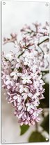 Tuinposter – Kleine Roze met Witte Bloemen - 40x120 cm Foto op Tuinposter (wanddecoratie voor buiten en binnen)