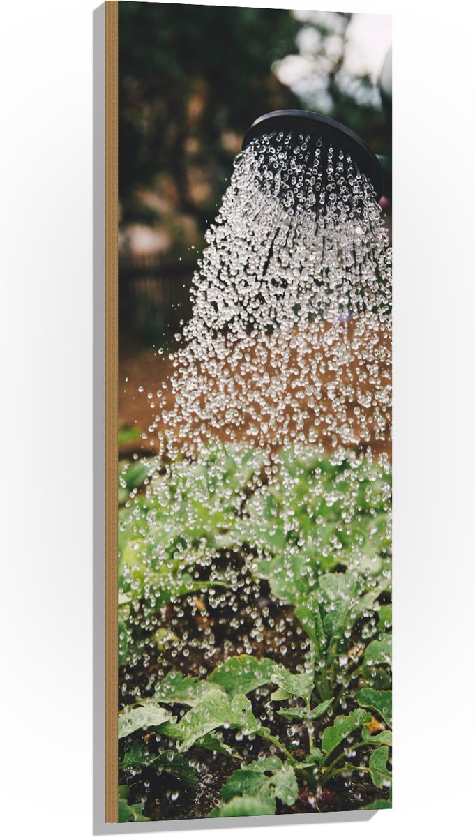 Hout - Planten Water Geven met Gieter - 40x120 cm - 9 mm dik - Foto op Hout (Met Ophangsys